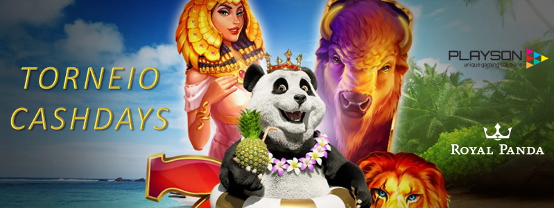 Royal Panda sacode junho com o Torneio CashDays|Bingo Blog